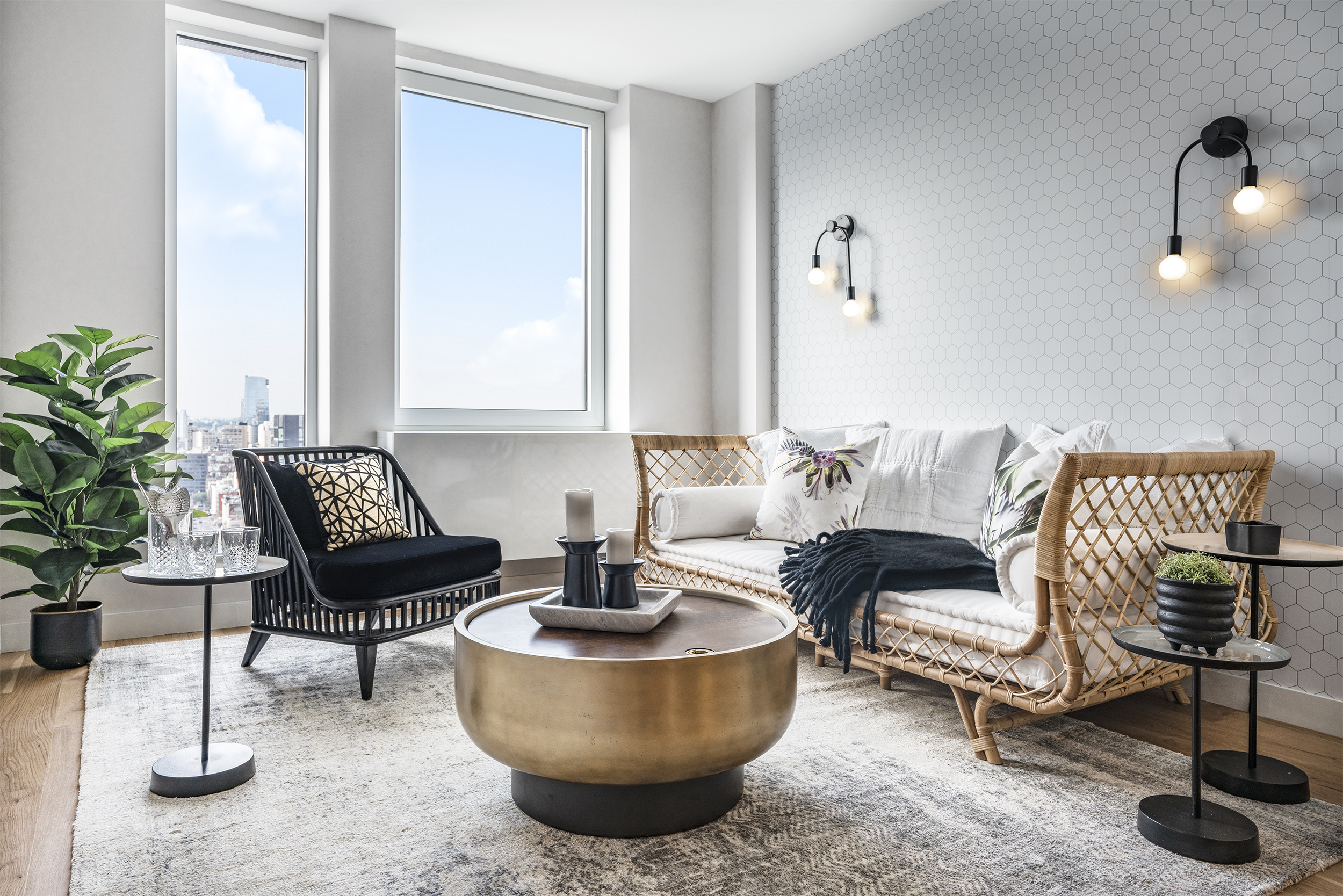 a living room with furniture and a potted plant