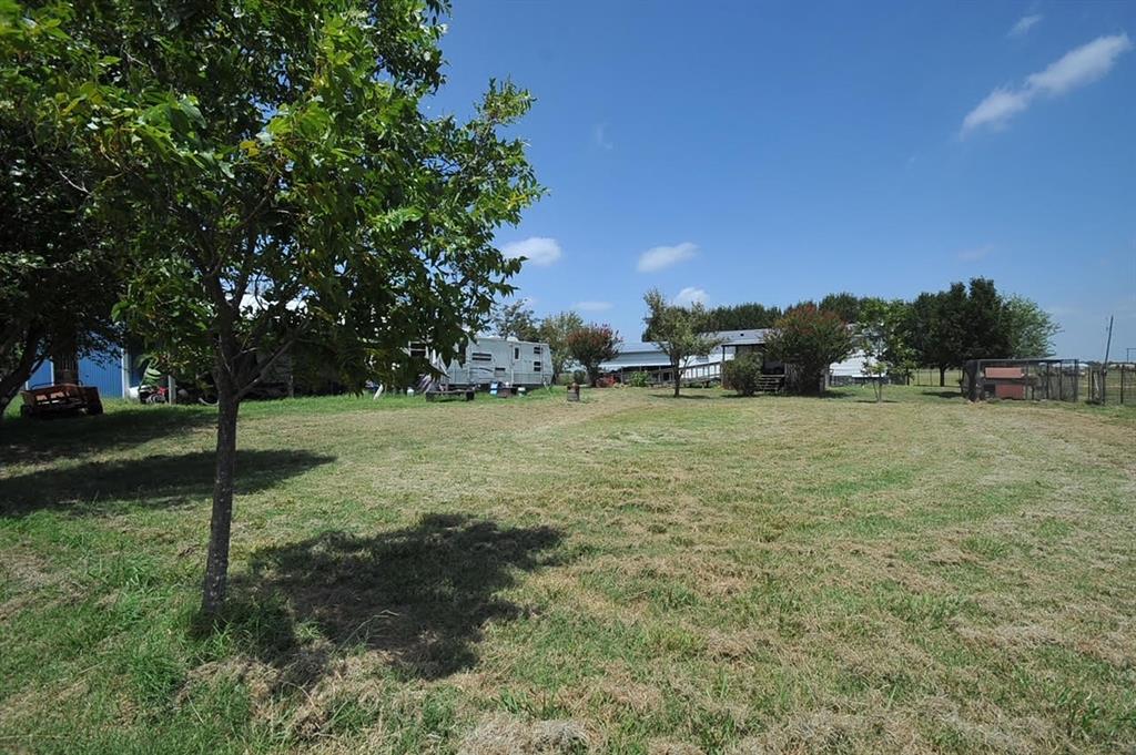 a view of a field with a tree