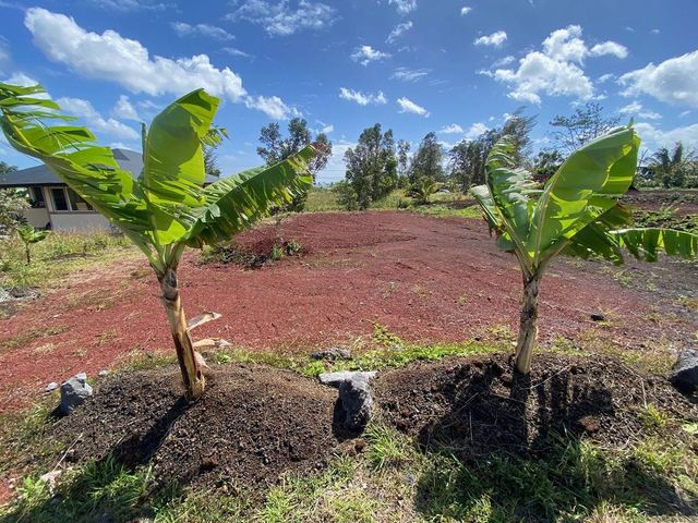 $57,000 | 16 Kamoamoa Street | Kalapana Seaview Estates