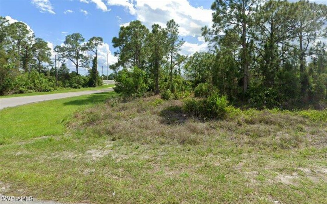 a view of a field with plants and trees