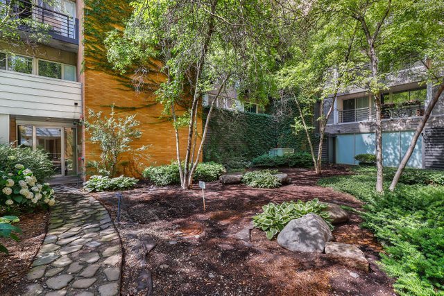 a view of a yard with plants and large trees