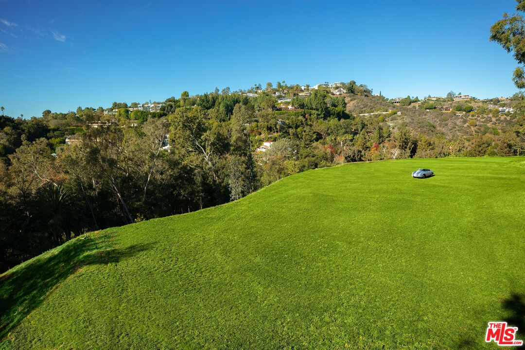 a view of a field with a tree in the background