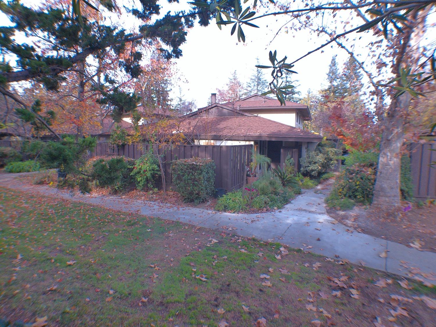 a view of a yard with a tree