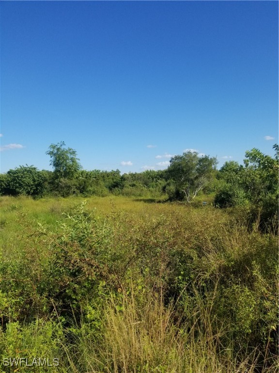 a view of a field with an ocean