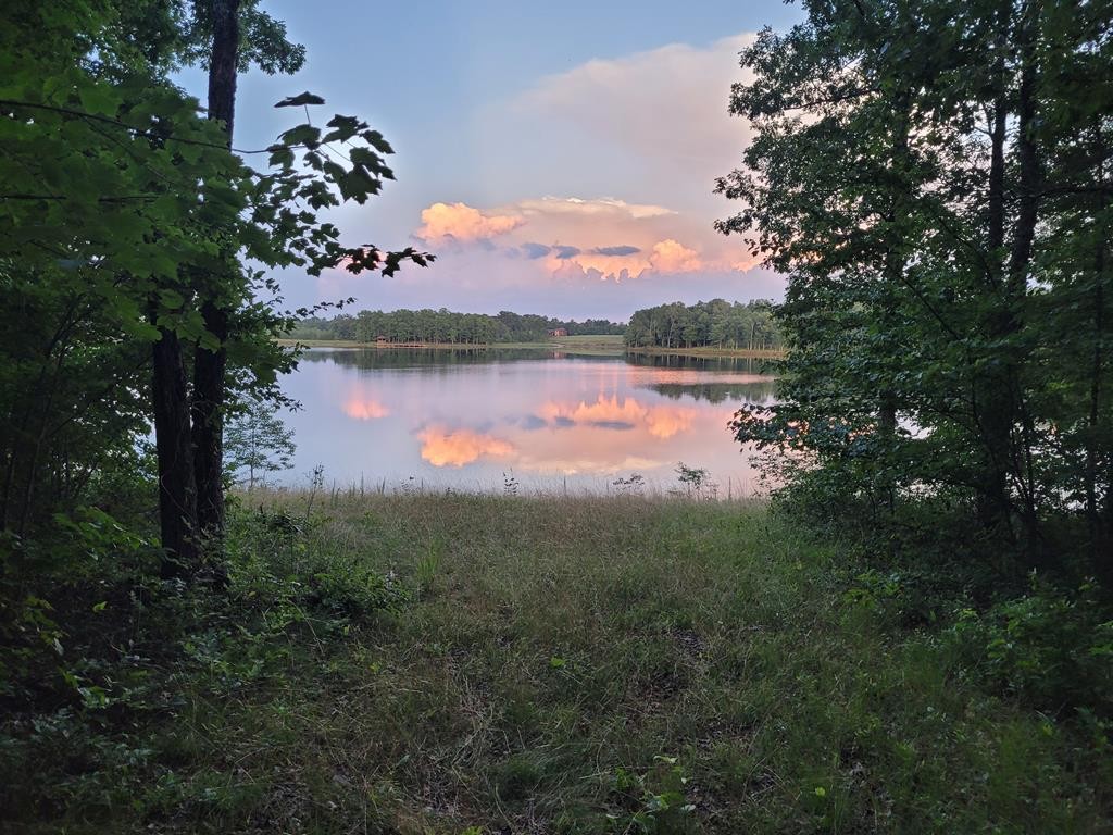 a view of a lake in between two and trees