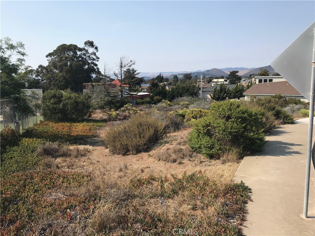 a view of a dry yard with trees