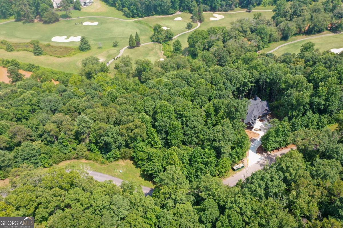 an aerial view of residential houses with outdoor space and trees