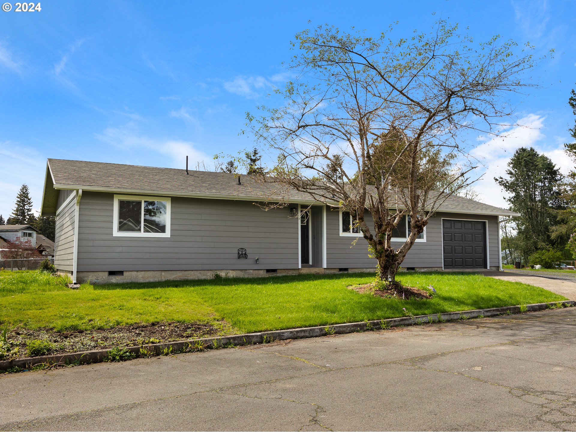 a view of a house with a yard and large tree