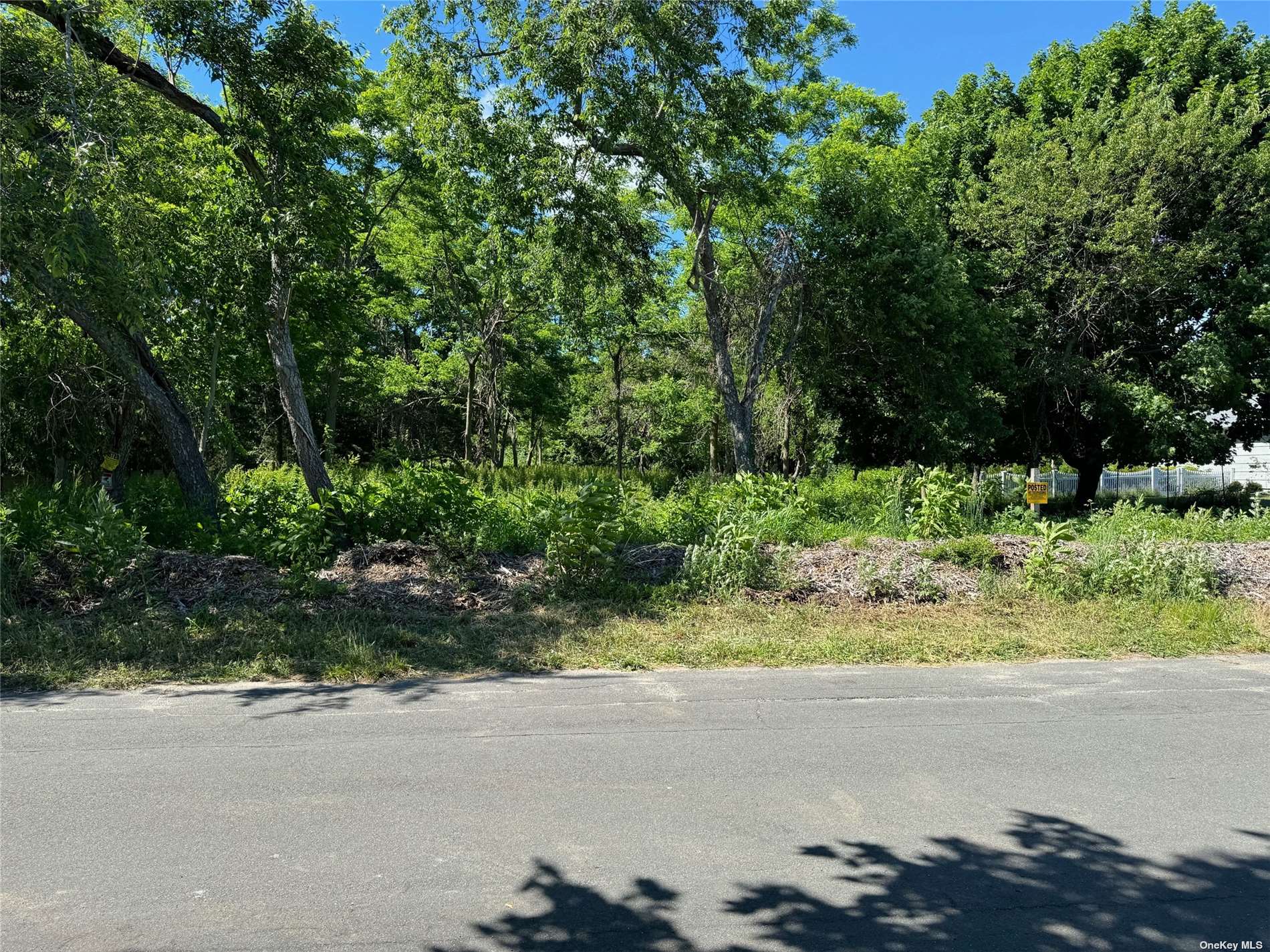 a view of a yard and a house