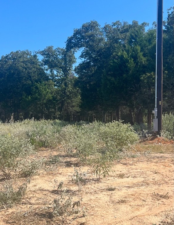 a view of a yard with a tree