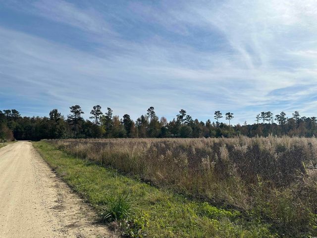 $45,000 | Lot 33 Gulley Lane