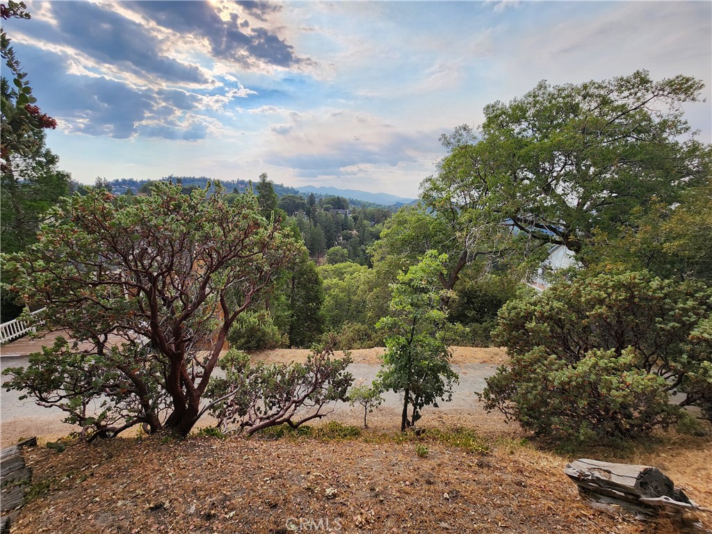 a view of a yard with a tree