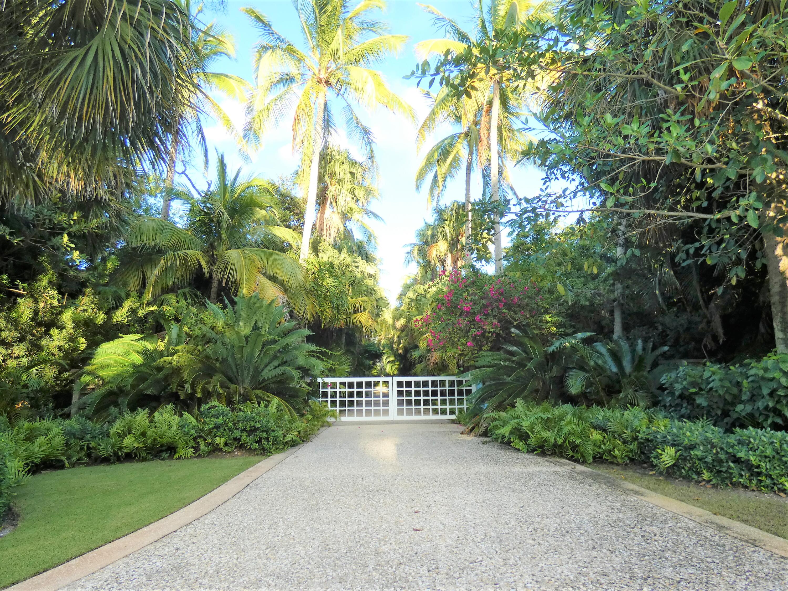 a view of a pathway both side of a garden