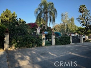 a view of a street with palm trees