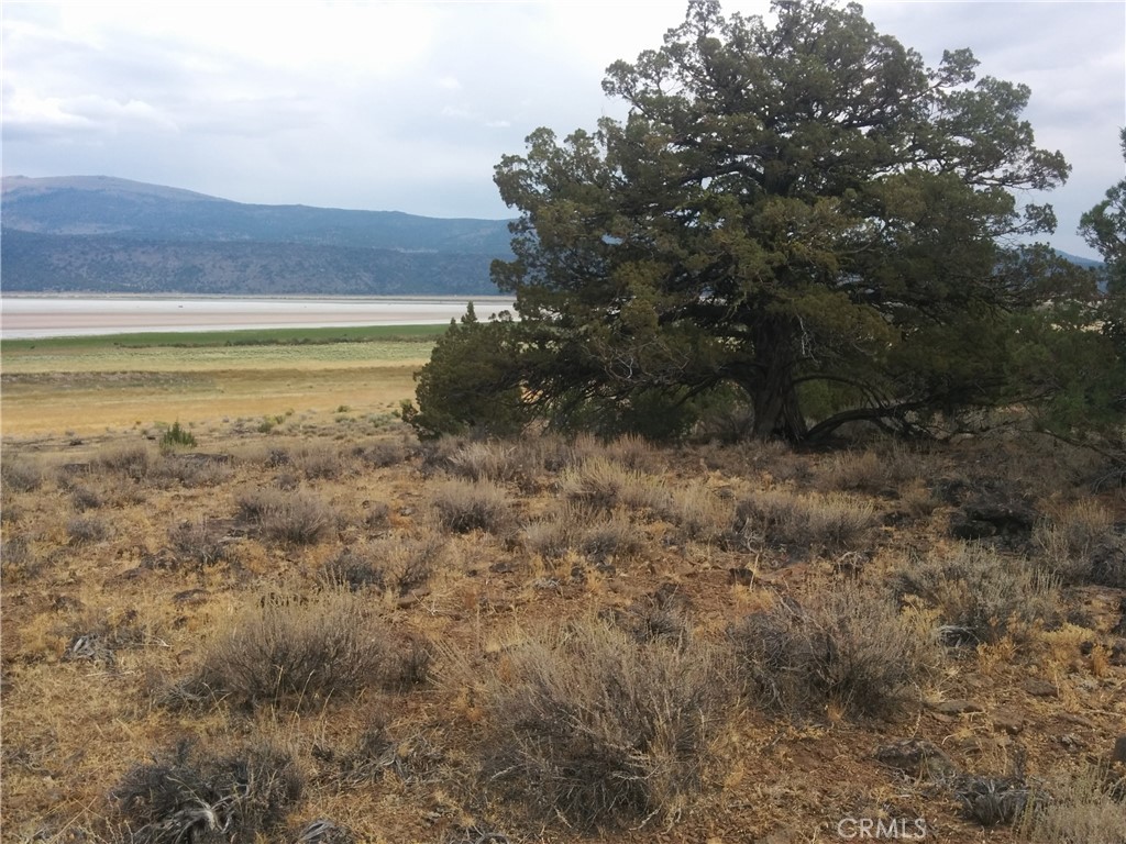 a view of a field with an outdoor space