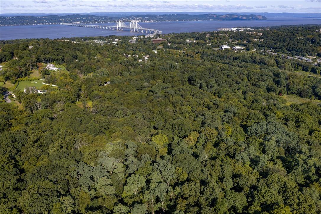 Aerial View with Hudson River