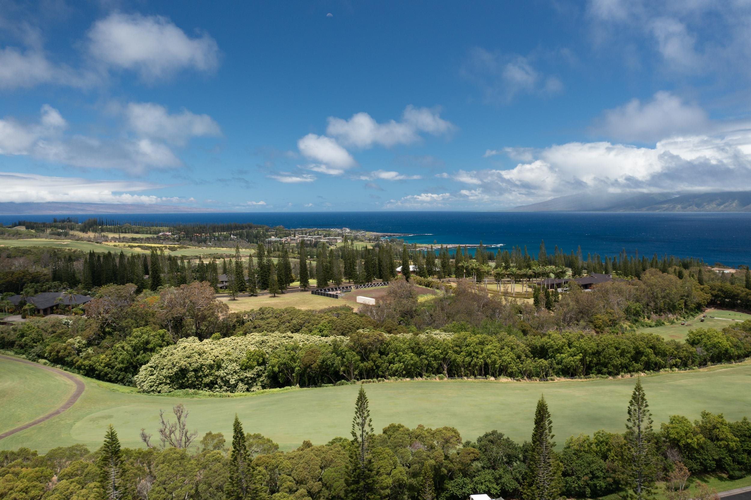 a view of a lake from a yard