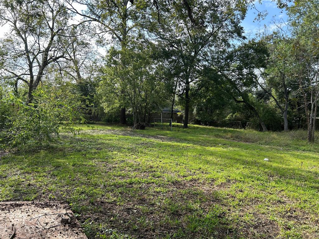 a view of a green field with a tree