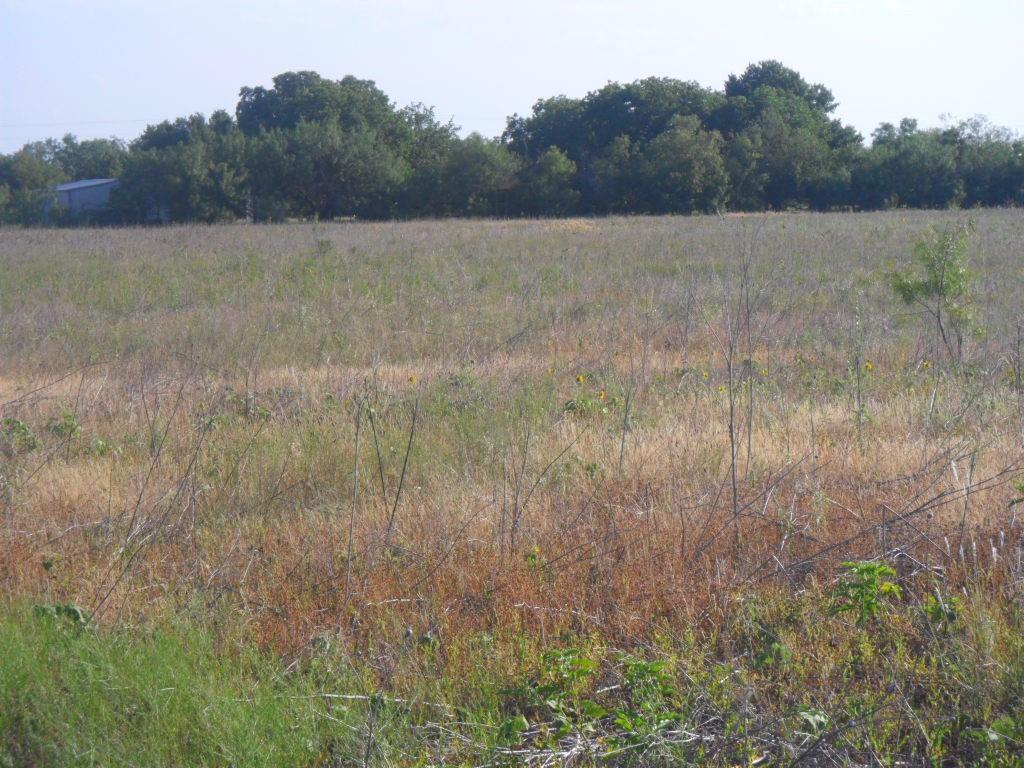 a view of a lush green field