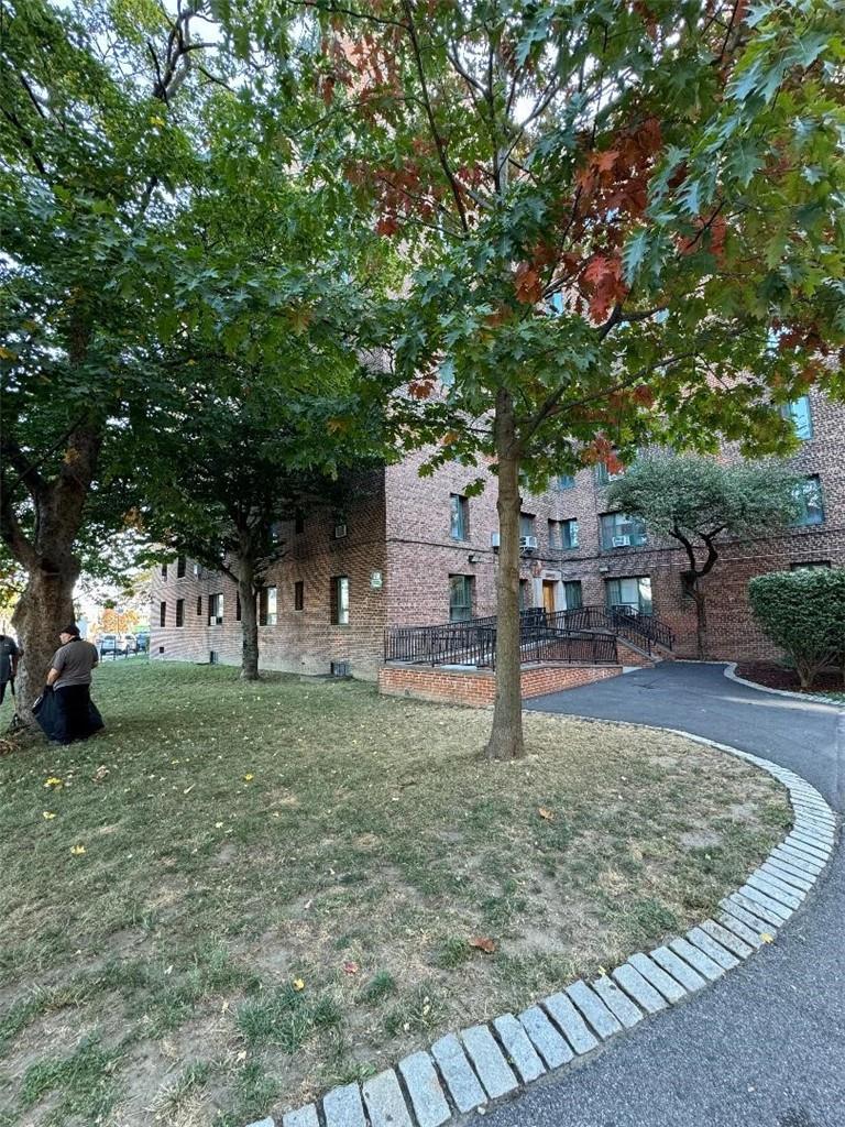 a view of a yard with plants and trees