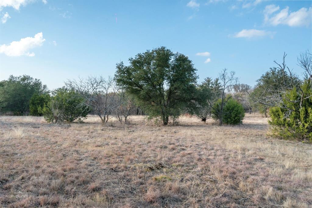 a row of dirt field with trees