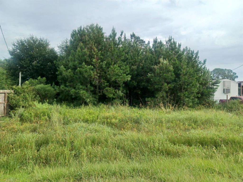 a view of a lush green space