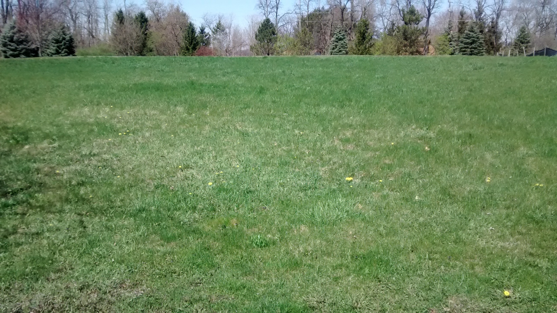 a view of a field of grass and trees