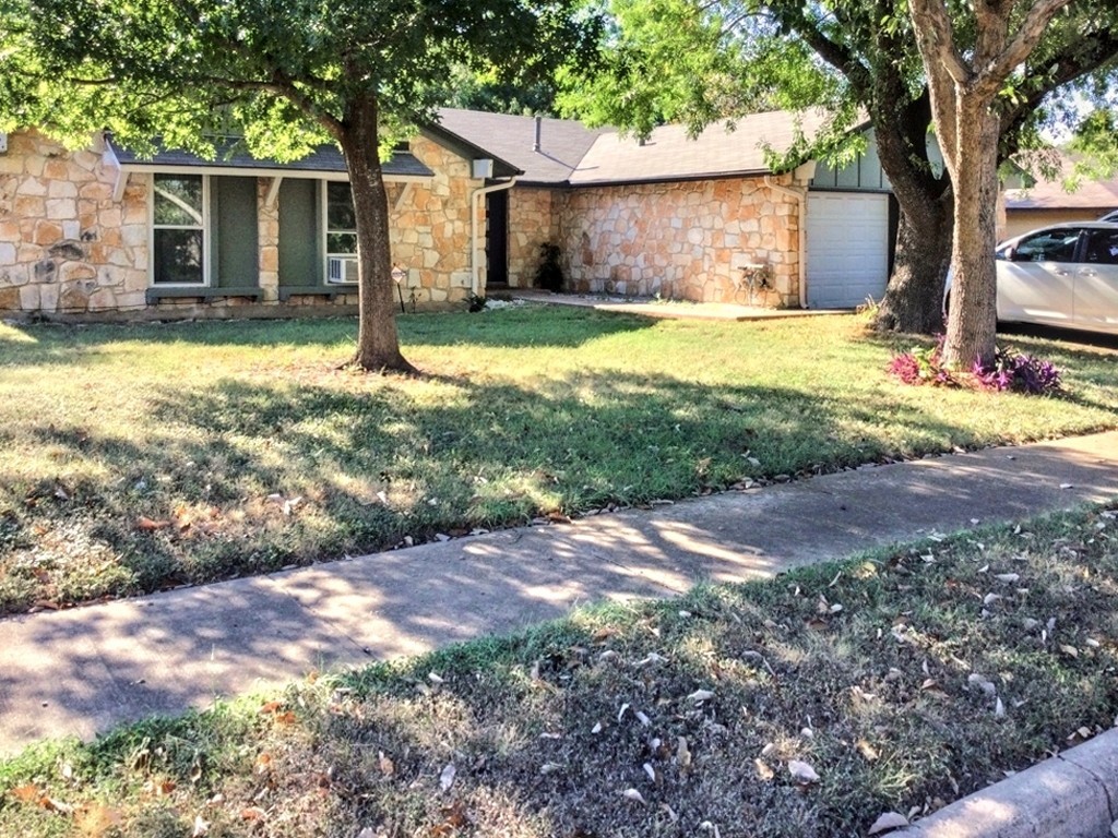 a view of a yard with a tree and a yard