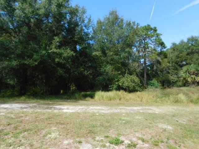 a view of a tree in a yard