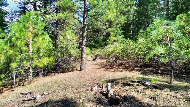 $105,000 | 638 Eureka Springs Drive | Plumas Eureka