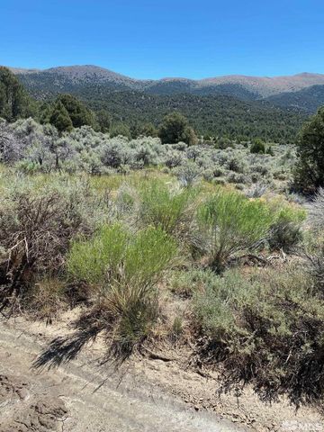 $849,000 | Tbd Eldorado Canyon Road | Carson City