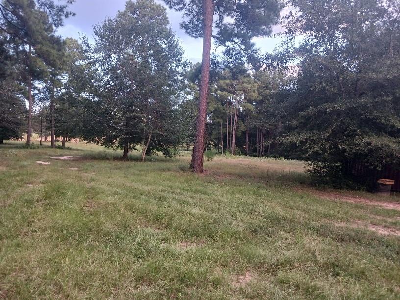 a view of outdoor space with trees