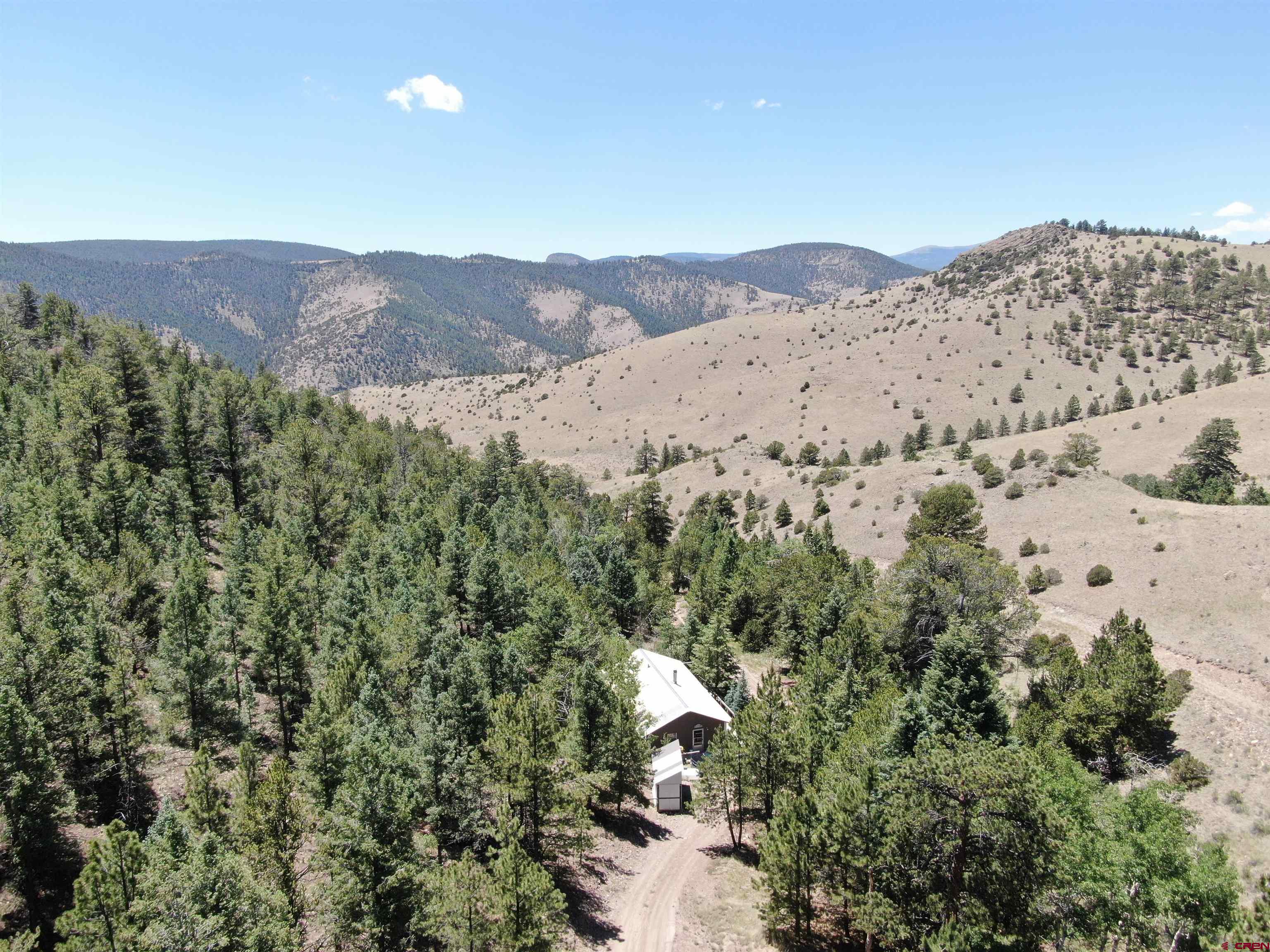 an aerial view of mountain and trees