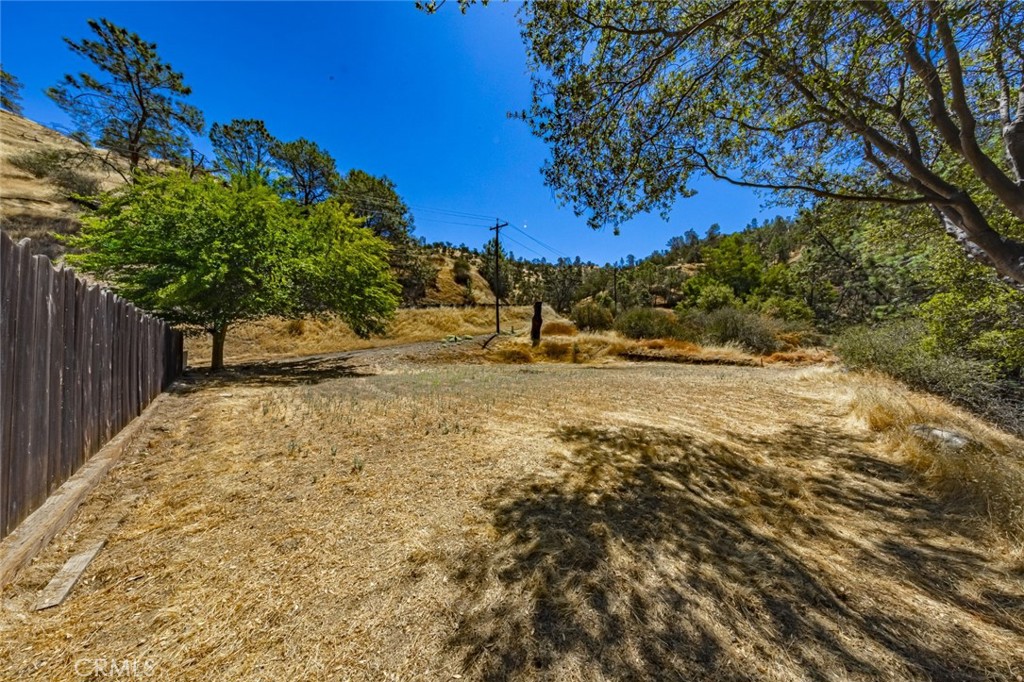 a view of a yard with a tree