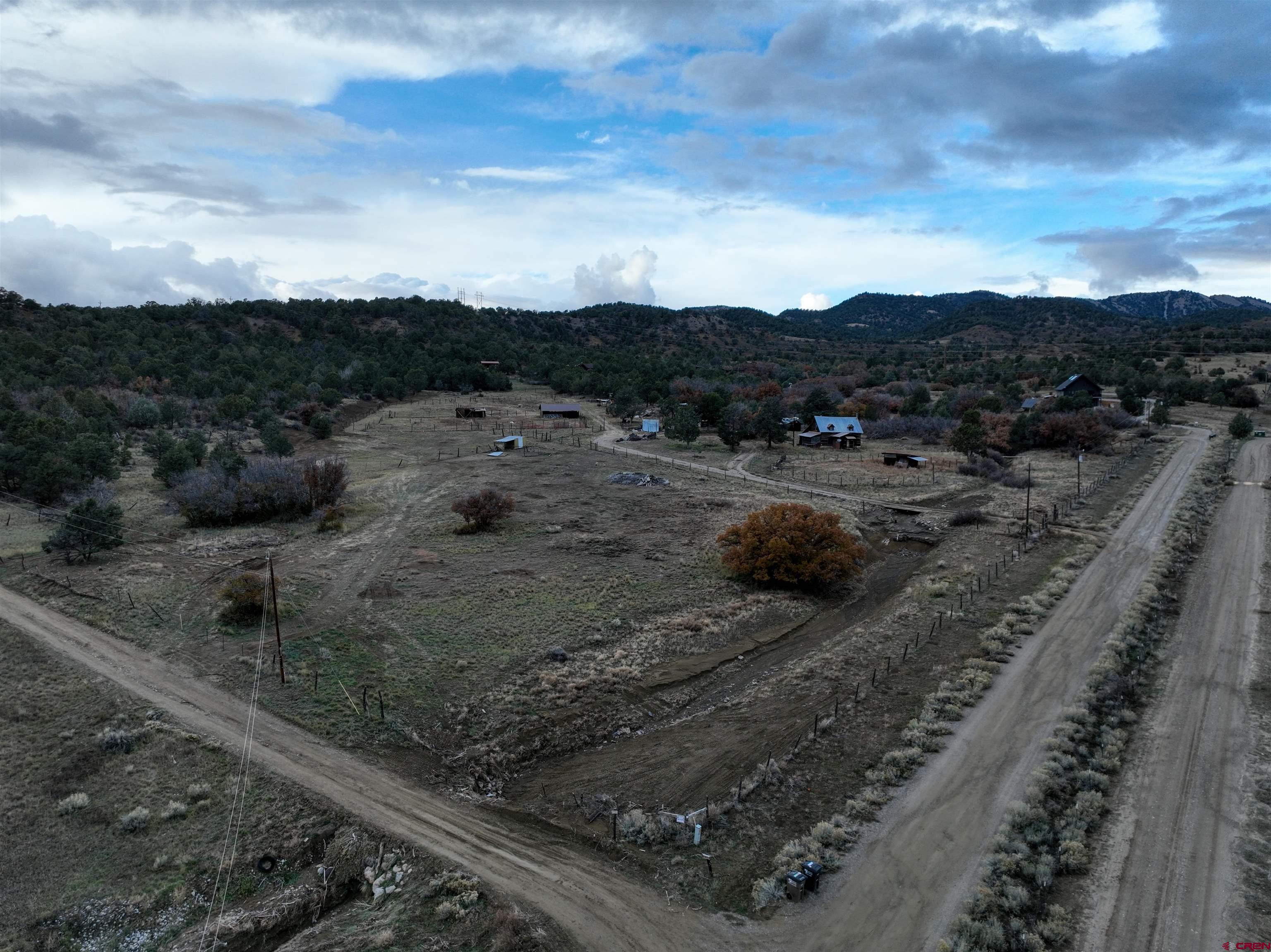 a view of a dry yard with lots of trees