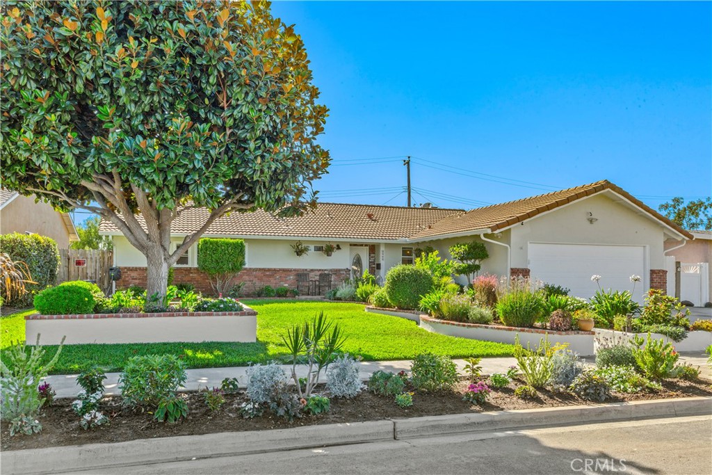 Gorgeous curb appeal!  Look at the beautiful Magnolia Tree