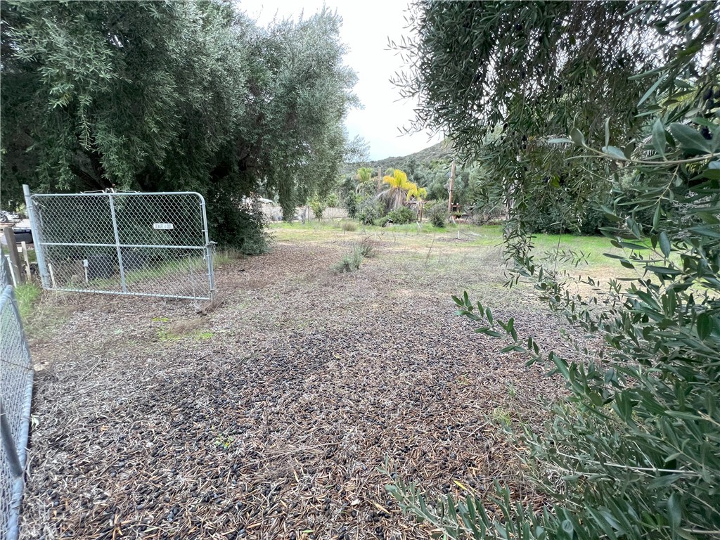 a view of backyard with green space