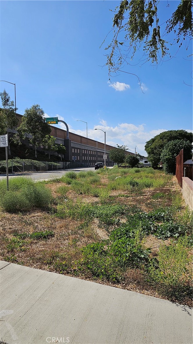 a view of a green filed