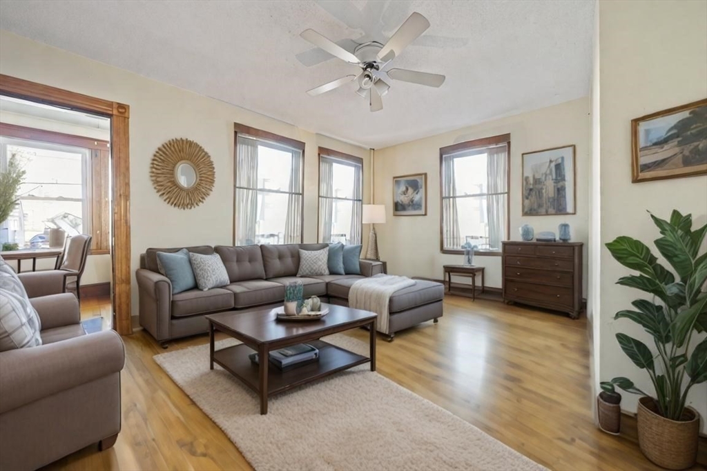 a living room with furniture potted plant and a window