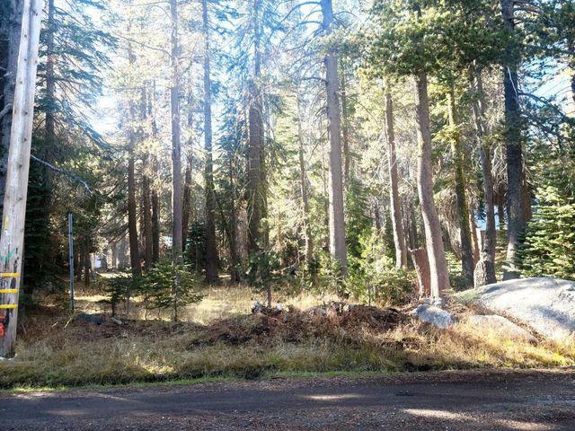 $25,000 | 0 Silver Tip Drive | Bear Valley