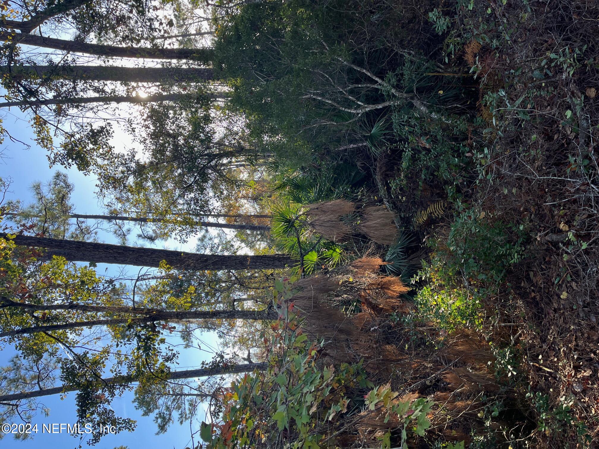 a view of outdoor space and green space