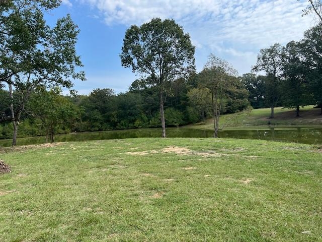 a view of a field with a tree