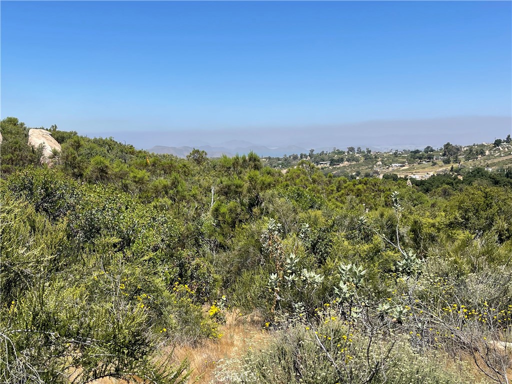 Diamond Valley Lake in the distance