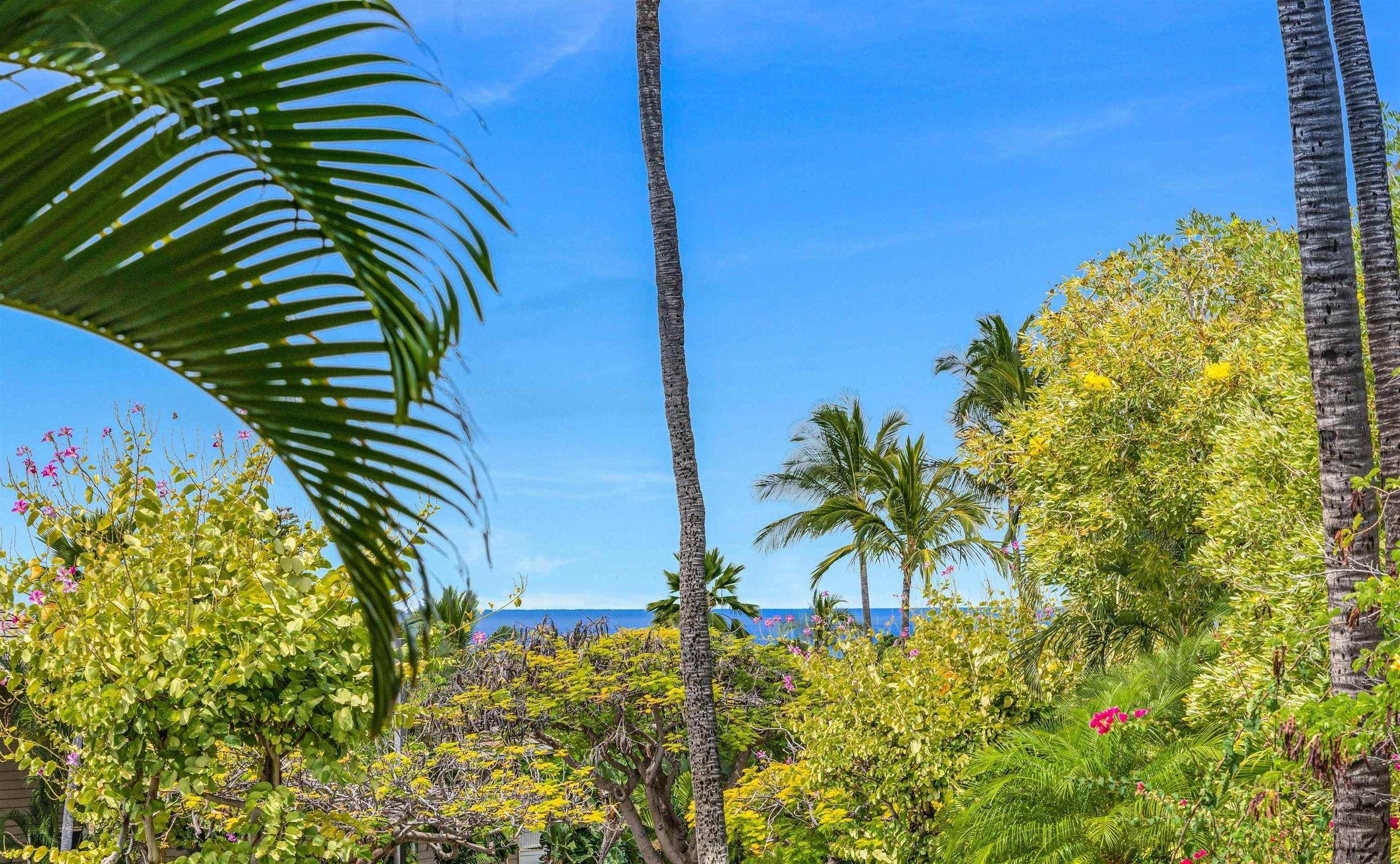 a view of a palm plant that is in front of a building