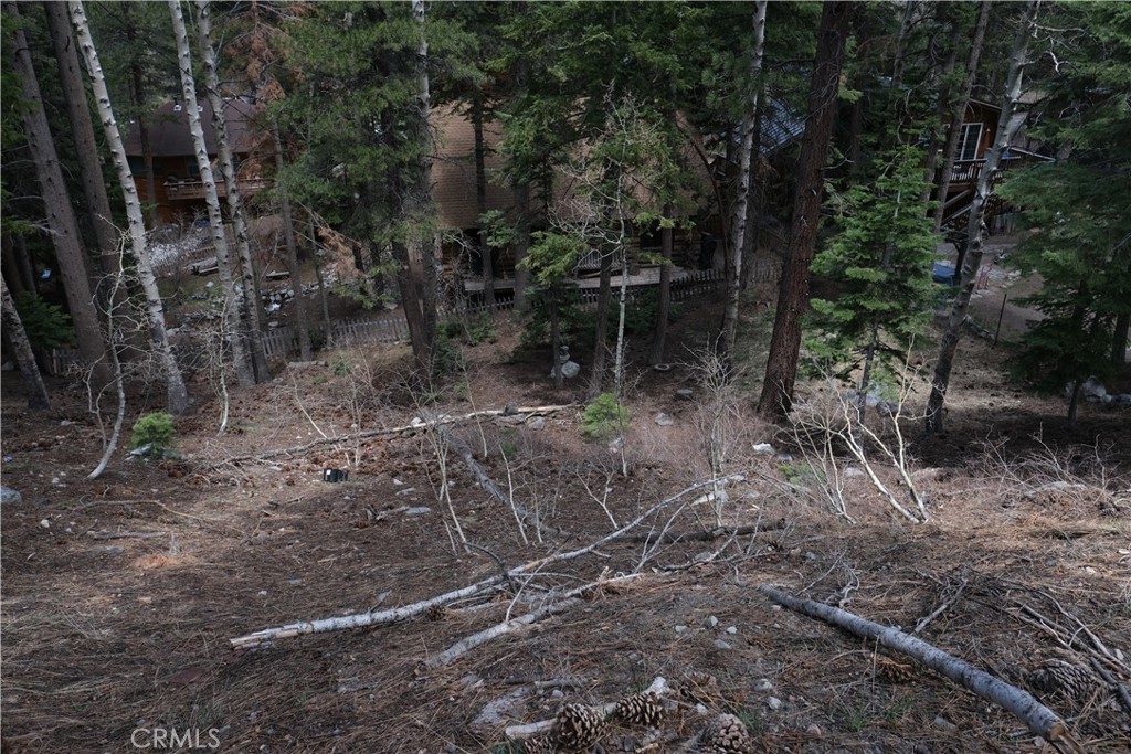 a view of a forest with trees