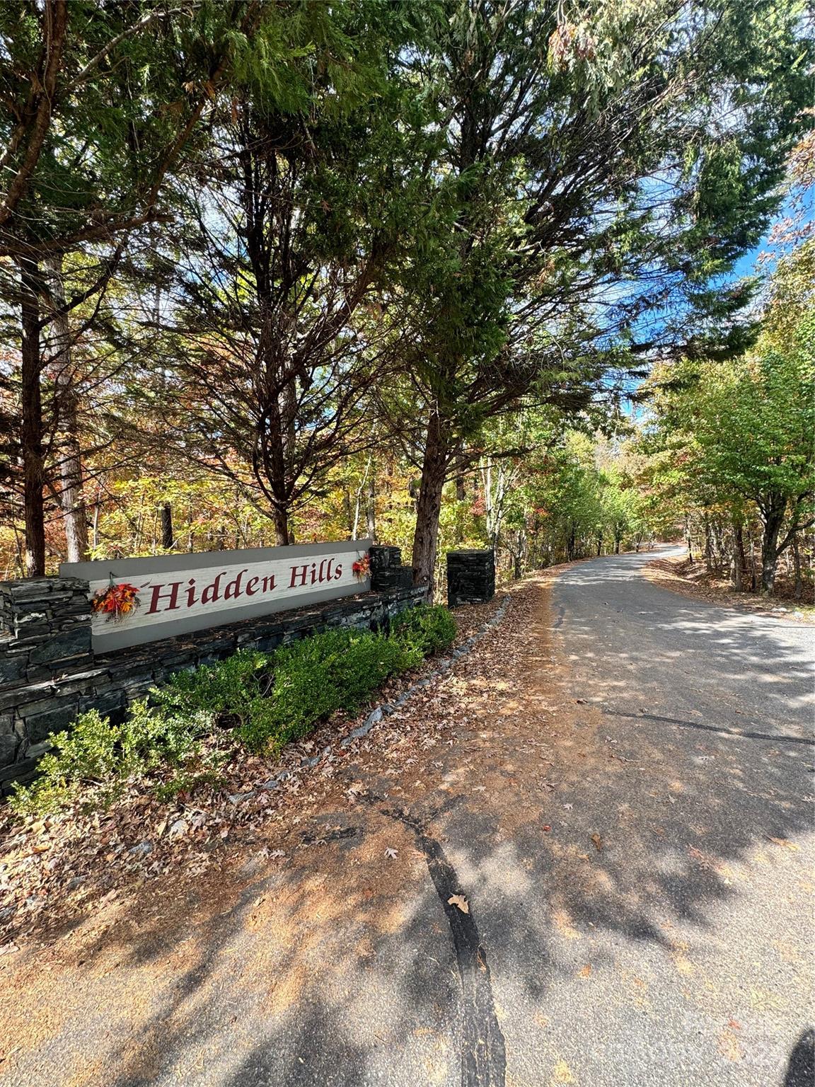 a view of a park that has large trees