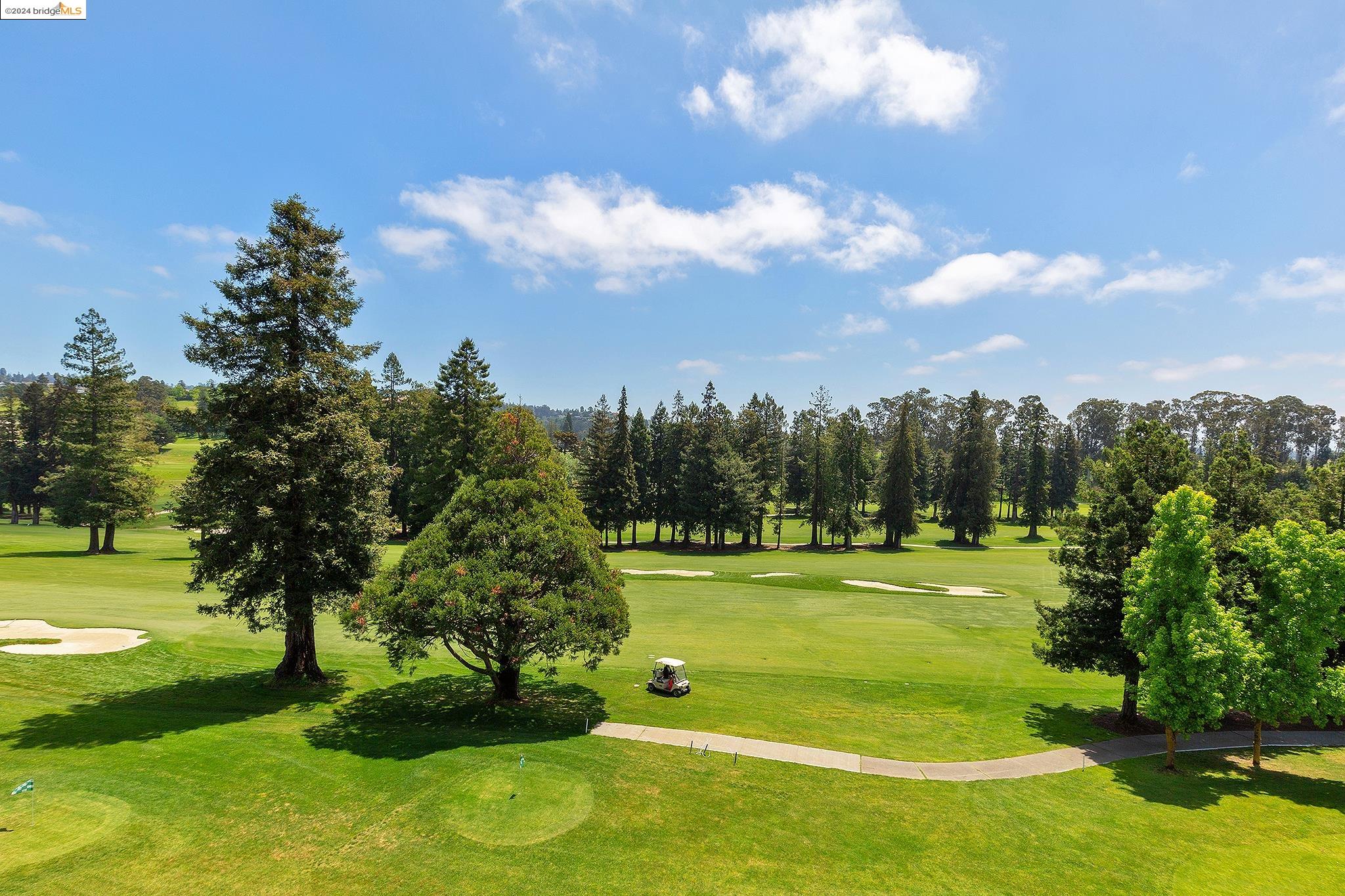 a view of a golf course with a lake