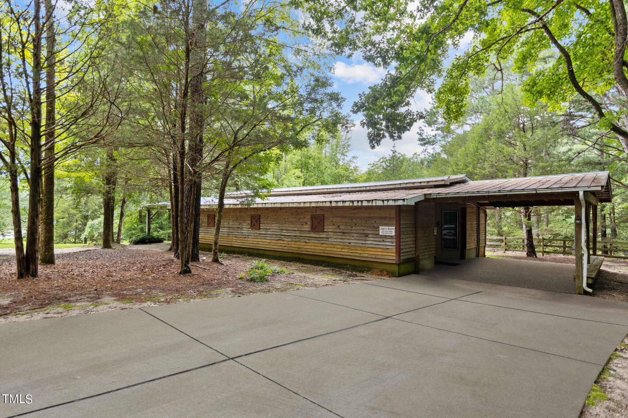 a view of backyard with large trees and a large tree