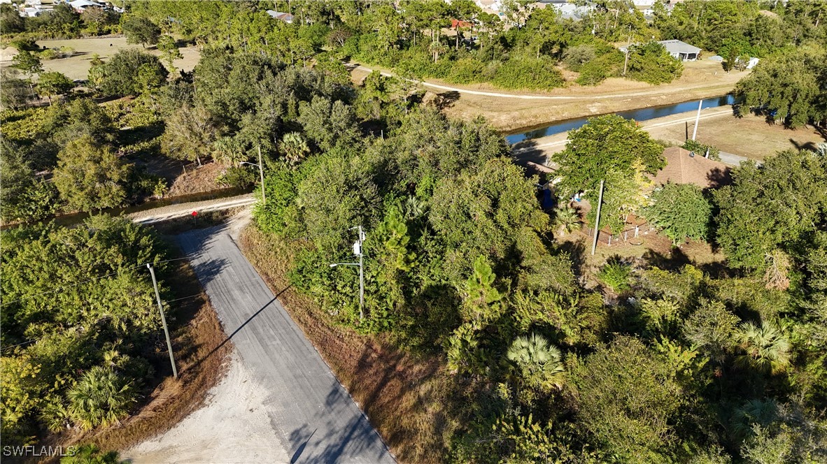 a view of a yard with plants