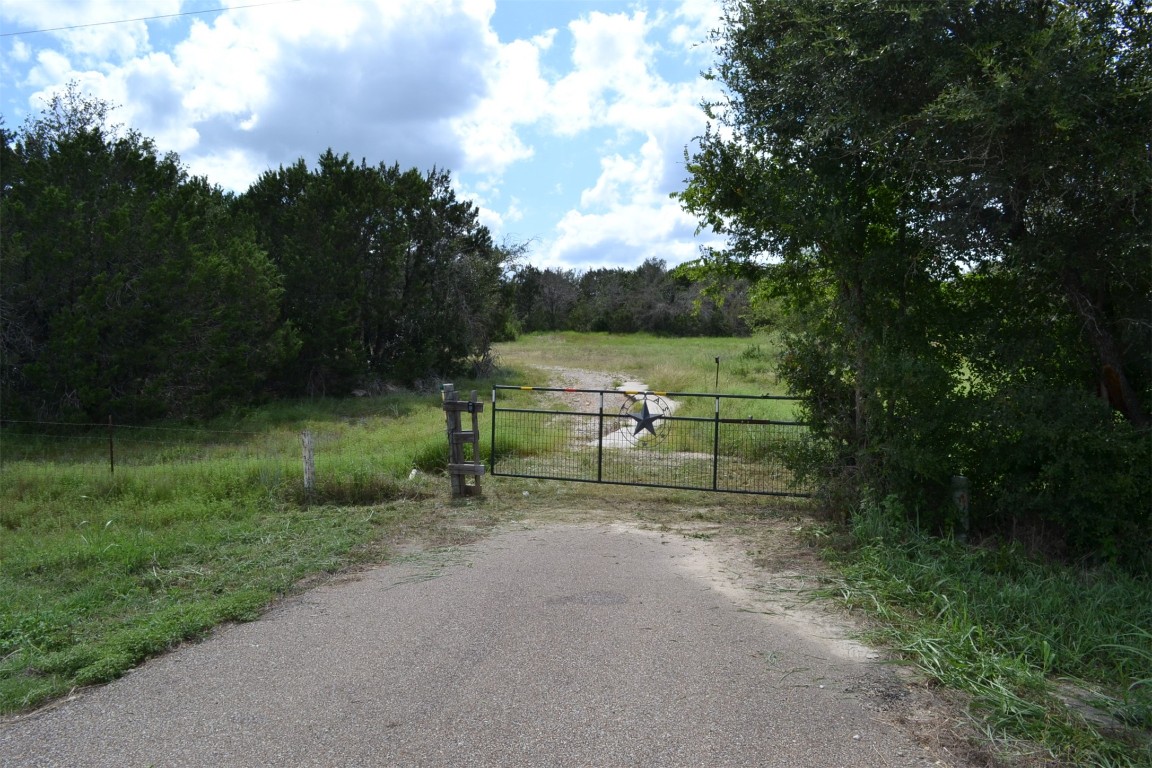 a view of a park with large trees